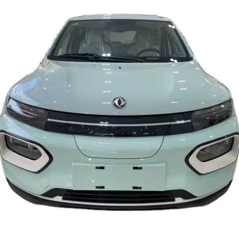 Dongfeng Nano EX1 2023 PRO Electric EV Car Light Wind Edition Standard