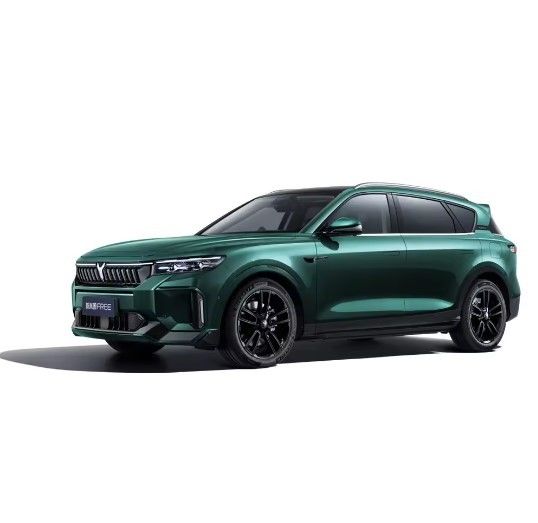 2024 lantu voyah dreamer phev mpv 4wd 136hp ev suv hybrid dongfeng dna free mpv